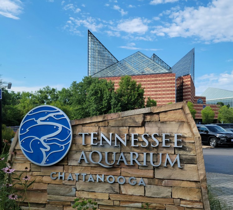 Tennessee Aquarium (Chattanooga,&nbspTN)